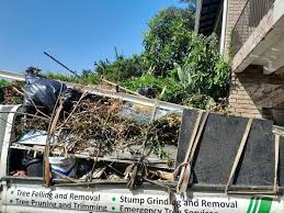 Best Foreclosure Cleanout  in Gardnerville, NV